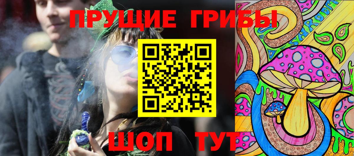 Михайловка  Псилоцибиновые грибы Psilocybine cubensis  Вход с VPN 