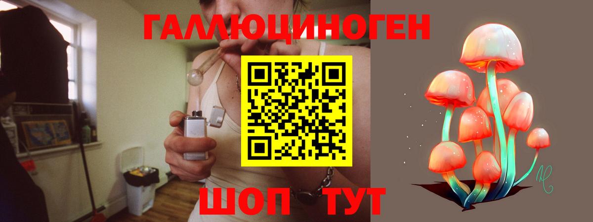 Галлюциногенные грибы Cubensis Михайловка